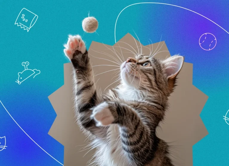 interactive electric cat ball 3 Car Trash Can